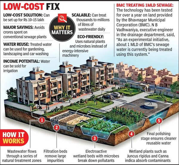 Pathbreaking tech: Natural cure to treat sewage water