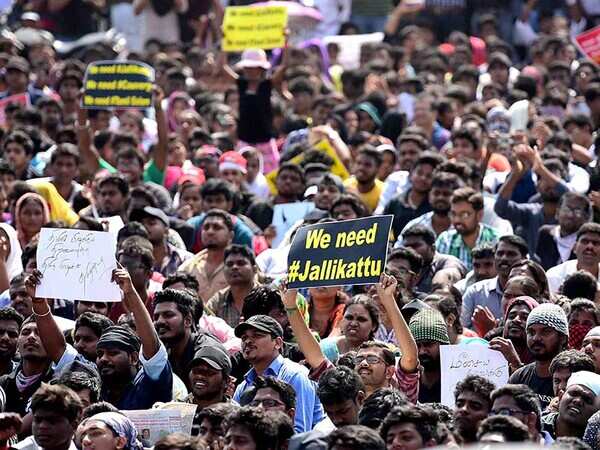 Jallikattu: Crowd swells on Marina Beach, protests to cripple TN tomorrow