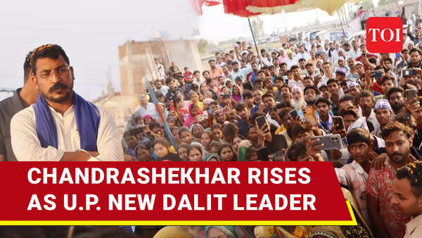 U.P. Gets New Dalit Leader As Chandrashekhar Azad Enters Lok Sabha With Thumping Mandate
