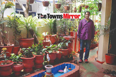 The Towns Mirror Special: Paradise found on Spencer Road