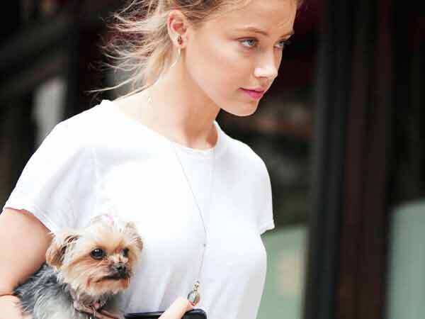 Dogs are the new kids in celeb custody battles