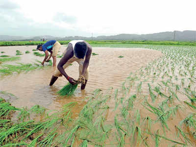 Farmers to march to city to highlight farm woes