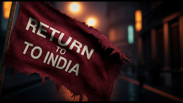 'I have realized something': Redditor shares one-year experience of living in India after spending 12 years in US
