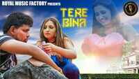 Latest Haryanvi Song Tere Bina Sung By Jitu Changia Featuirng Pradeep Nimbhal 
