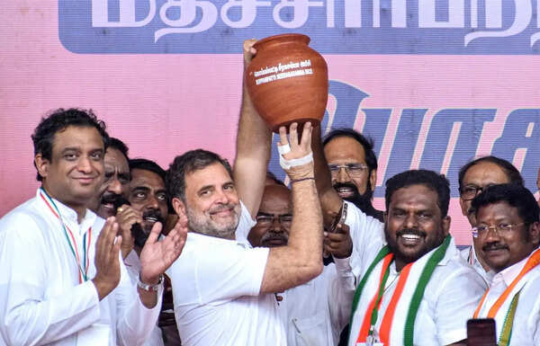 Tamil Nadu assembly elections 2026: Why it's no win for Congress even if DMK+ wins