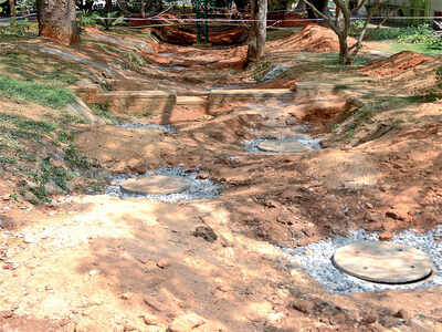 At Lalbagh, rainwater will be harvested soon