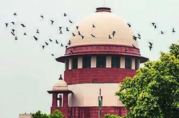 SC postpones hearing, asks cops to present labour unrest accused in person today