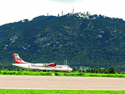 Tipu Sultan or Krishnaraja Wadiyar? Mysuru airport naming debate heats up