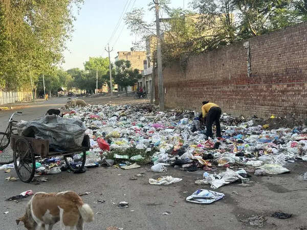 4 days to go for civic polls: Sanitation strike ends, AAP gets breather