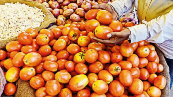 Incessant downpour further pushes up tomato prices in Bengaluru