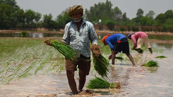 What imported inflation taught India about food prices