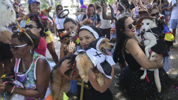 Rio’s ‘Blocão’ dog carnival: Pets parade in costumes at Brazil’s ...