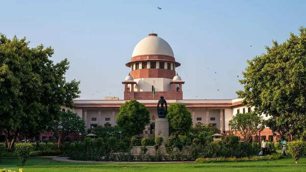 Supreme Court to test validity of scrapping 'self-perceived gender' clause