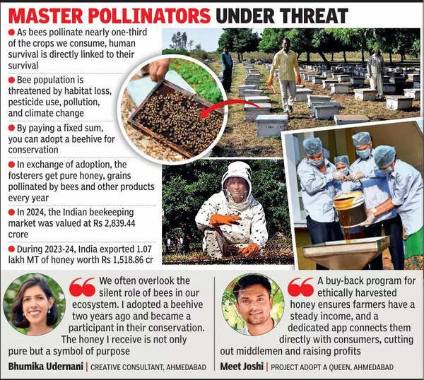 Gujaratis make BEEline to adopt beehives
