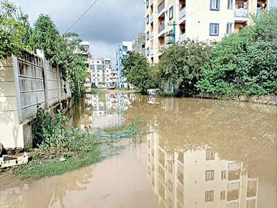 Halanayakanahalli lands under water