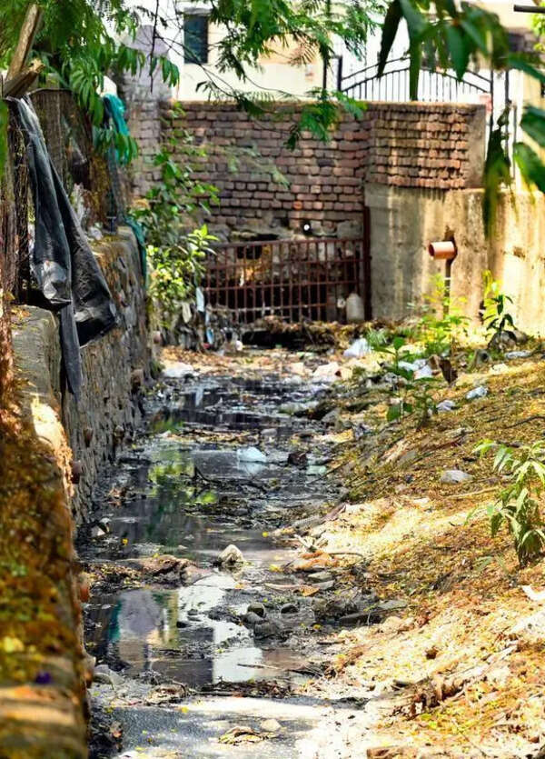 NGT, HC crack down on nullah ‘cover-ups’