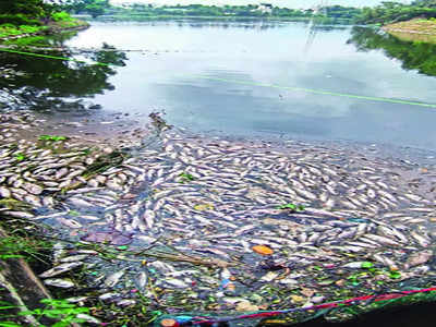 Fish kill incidents call for coordinated action