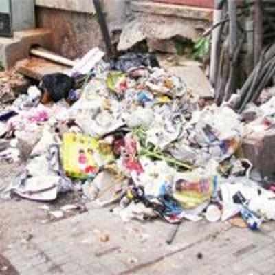 '˜Ugly Indians' clean up Bangalore city