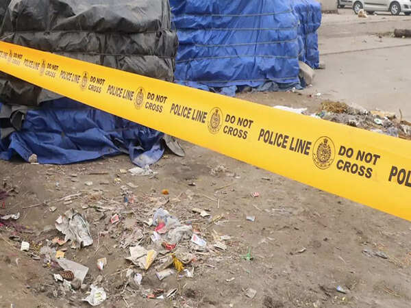 Delhi horror: Man kills tenant over affair suspicion with wife, walks into police station to confess