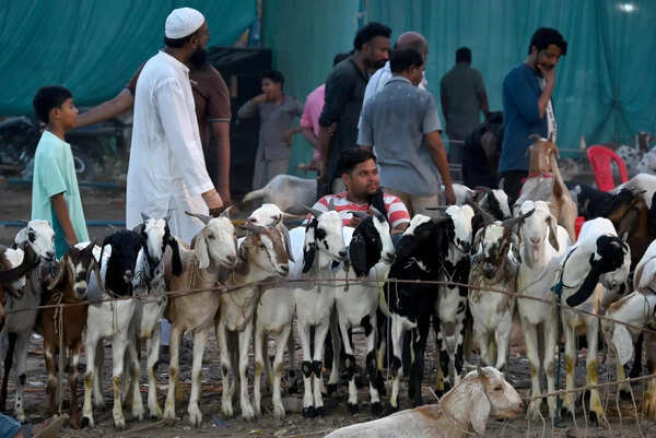 Goat markets packed as families shop for sacrifice ahead of Bakrid
