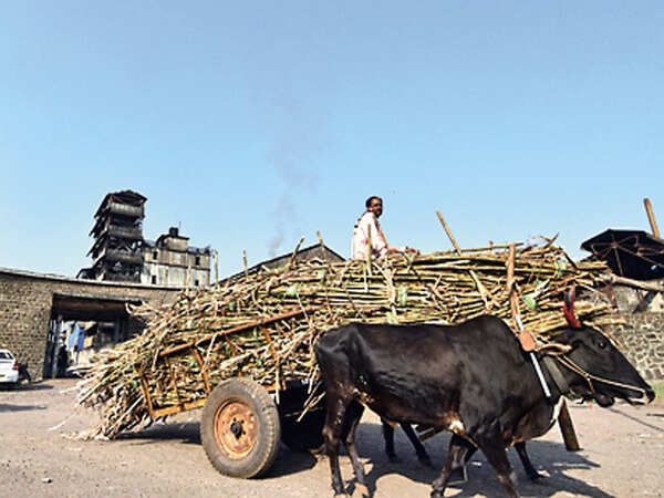 Licences of 100 sugar mills on hold over farmers’ dues in Maharashtra