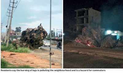 Bengaluru: Felled trees are being burnt, say residents