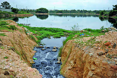 Scenic, serene water body in Bengaluru's Gangondanahalli is now Lake putrid