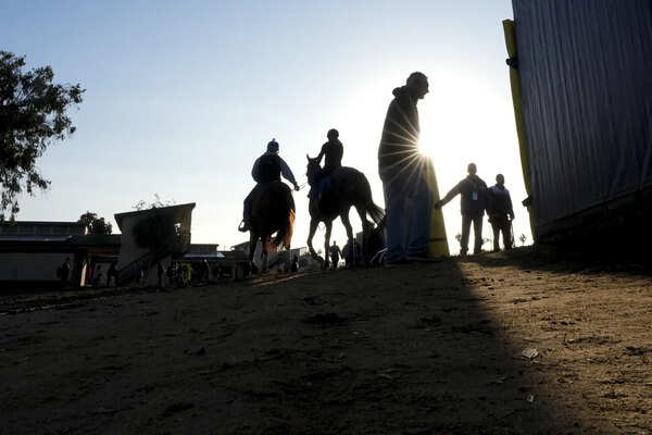 Knotty Legend likely to sustain winning run
