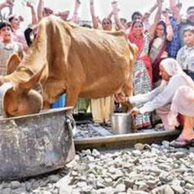 Jat protester dies, SC slams Haryana CM for backing stir