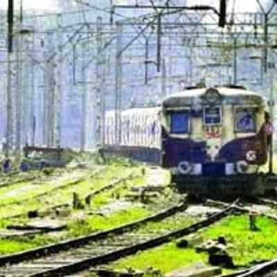 5-6th rail corridor between Thane and Kurla to be operative by early next year: CR