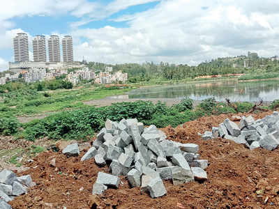 Hosakerehalli Lake was supposed to be rejuvenated to store rainwater, but work is yet to begin in right spirit