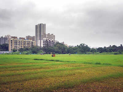 In 2 years, BMC yet to take back 26 open plots