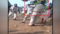 Sand mafia attacks cop in MP, video goes viral 