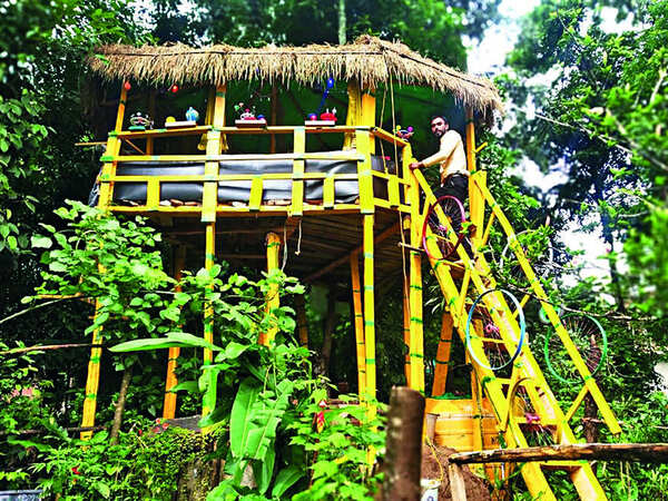 Karnataka: Kodagu teacher builds treehouse class to overcome patchy internet