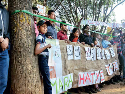 With ribbons to protect trees that face the axe