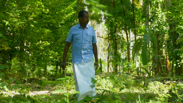 UN-honoured TN farmer turned coconut losses into profits with multi-crop, tree-based farming