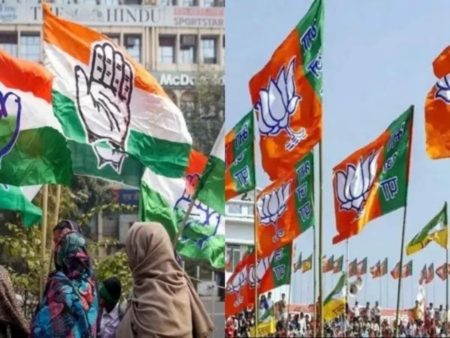 MP poll expenses: Aloo wada, chai top favourites of candidates across political flavours