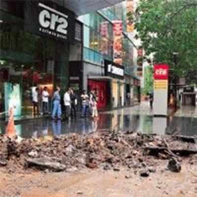 CR2 Mall damaged tree roots: BMC