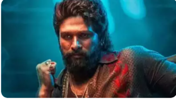 Pushpa 2: The Rule stampede results in tragic death of a woman: Why is there such fanaticism in South fans? ETimes explores