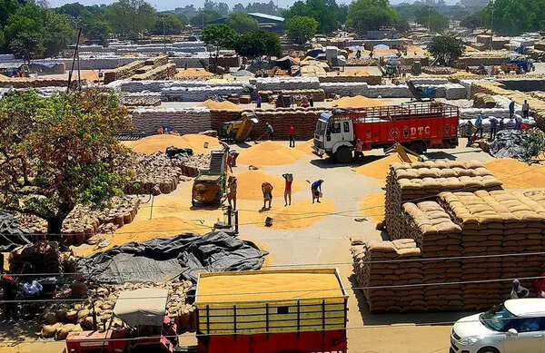 Only 26% wheat lifted as mandis choke despite high procurement