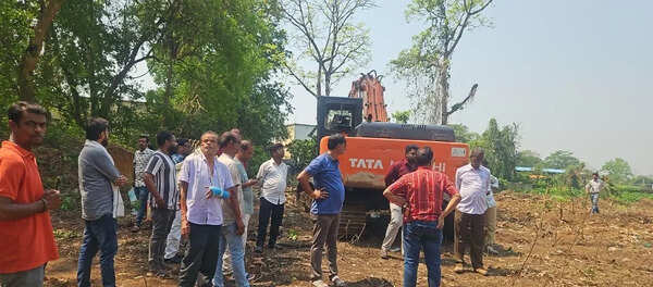 NGT notice to authorities on tree felling claims for urban devpt project in Mayurbhanj