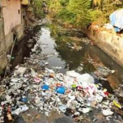 Filthy Irla nullah to be turned into green zone