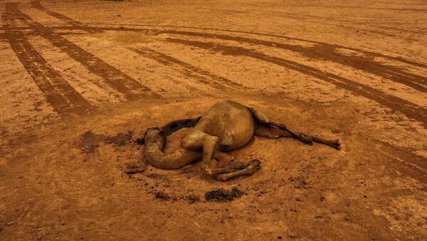 Somalia is in a deadly drought again. Most humanitarian aid isn't there this time