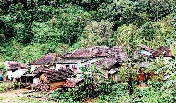 Surat: Recession, liquor stifle diamond units in tribal areas