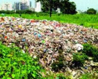 Canine menace rising with mounting trash in Kharghar
