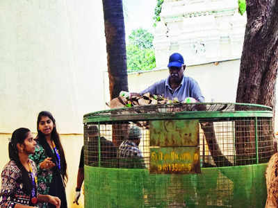 Venu Gopala Swamy Temple to be plastic-free