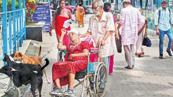 Loyal strays guard elderly  Kolkata couple, accompany them to hospital, shops and bank