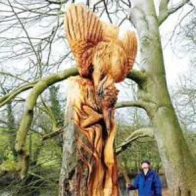 Woodunnit? Unnamed artist creates stunning carvings