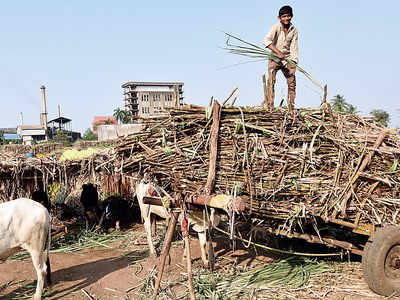State to restructure loans of sugar co-ops, most owned by BJP, Sena
