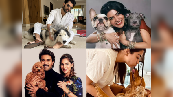 Celebrity pets Telugu film stars and their furry friends